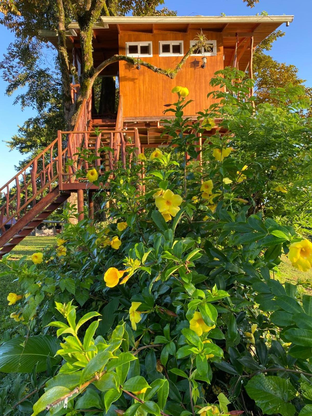 Hilamito Lodge Tela Exterior photo